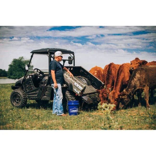 Axis 500 4×4 UTV - Image 5