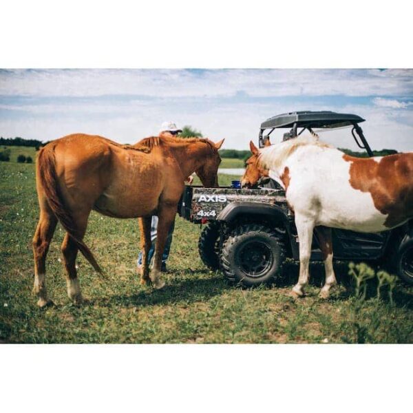Axis 500 4×4 UTV - Image 6