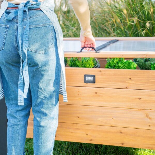 Aggie Cold Frame Box - Image 14