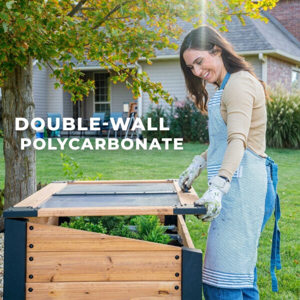 Aggie Cold Frame Box - Image 8