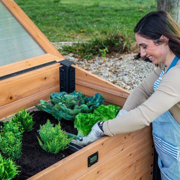 Aggie Cold Frame Box - Image 11