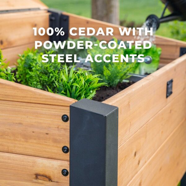 Aggie Cold Frame Box - Image 6