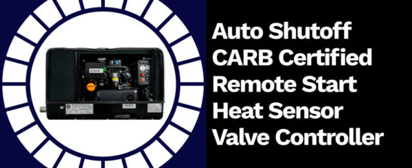 RVMP Flex Power 2800e 2500W/2800W RV Generator Dual Fuel Gasoline Propane EFI New - Image 7