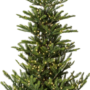 Vickerman Alberta Spruce Artificial Christmas Tree 6' x 48" Warm White LED Lights New