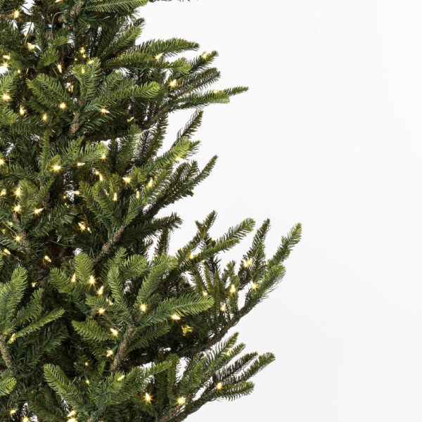 Vickerman Alberta Spruce Artificial Christmas Tree 6' x 48" Warm White LED Lights New - Image 5